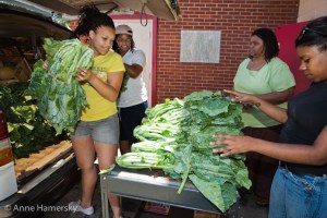 Georgia Hunger Coalition