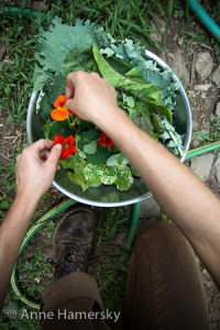 AnneHamersky_09022_MtGardenHerbs_66