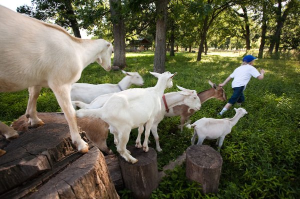Angelic Organics Learning Center Caledonia, Illinois