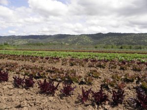 429090_10150598264502843_105152017_n