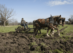 Screen Shot 2014-12-19 at 3.30.57 PM